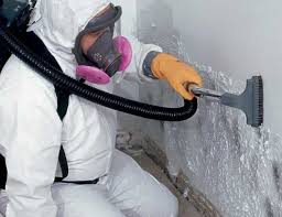 Best Comprehensive Air Testing for Mold Contaminants  in Holley, FL